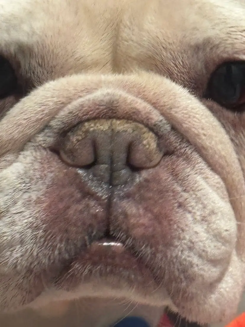 Livestream thumbnail