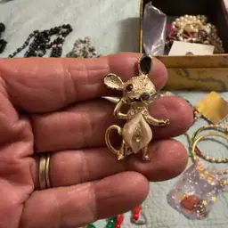 Derpy Mouse Brooch