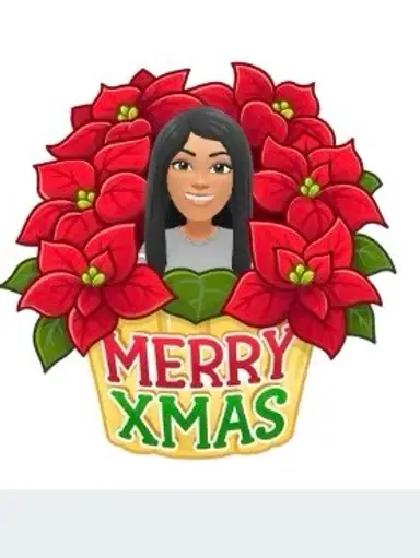 Christmas Ornaments 🎄🎄❄️❄️☃️☃️ & Hankies 