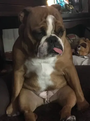 Rosey Invited You To The Friday Night Show. New Items Some Jewelry Too!! Come Have Some Fun! See You There