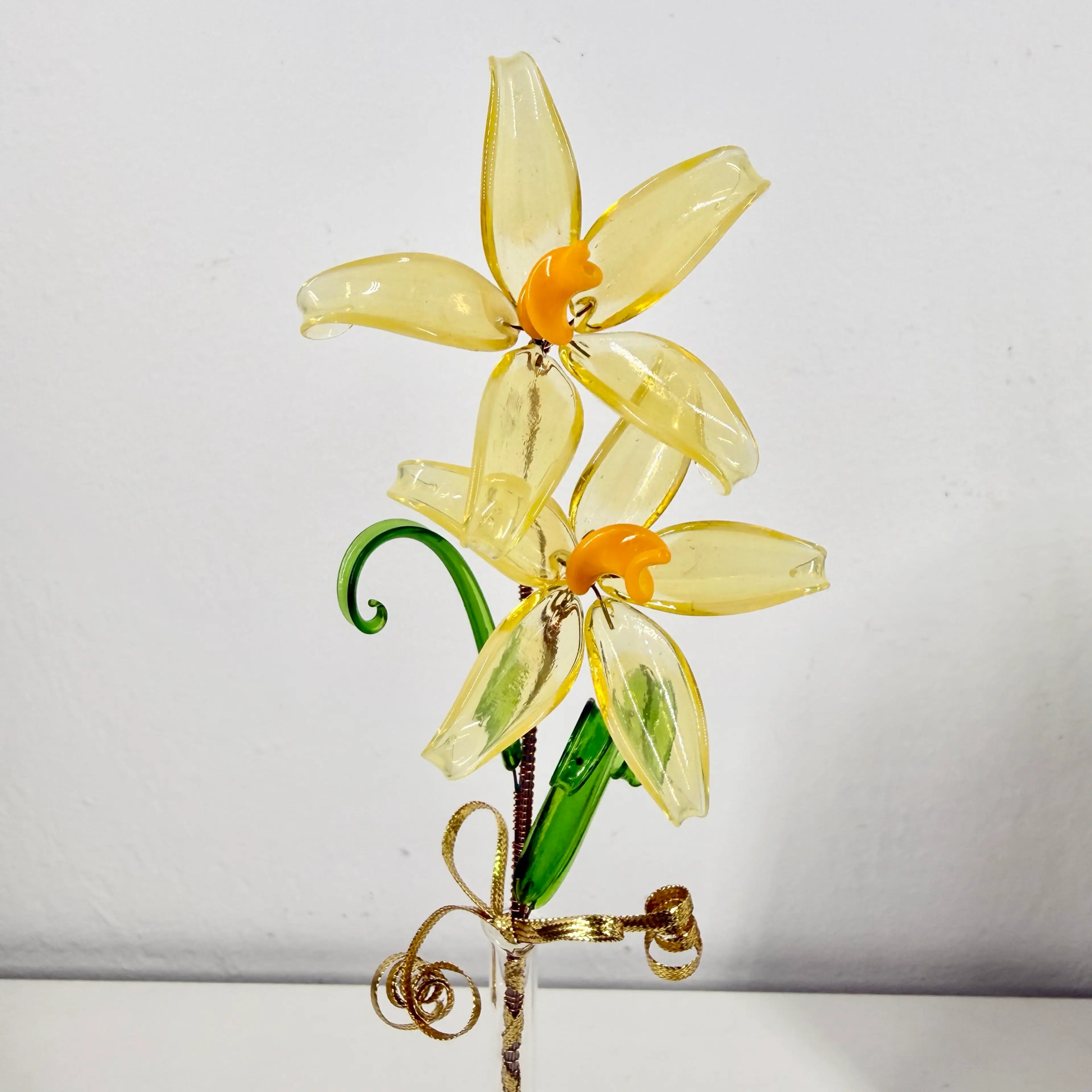 Image 4 of 5