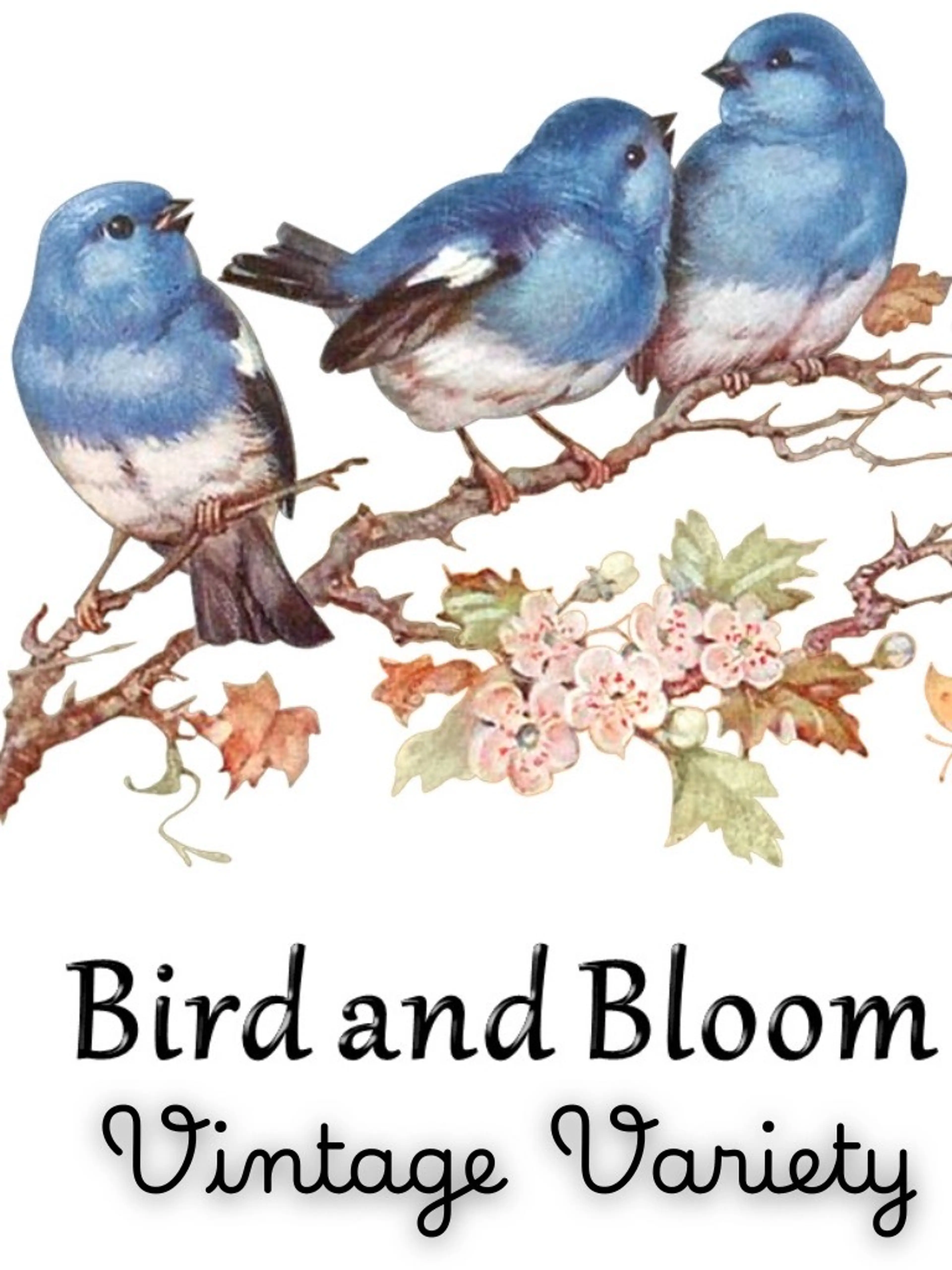 Vintage Variety with Bird and Bloom