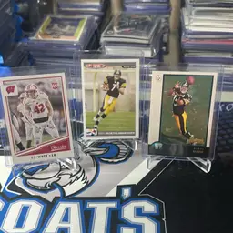 Steelers Legends RC Lot! 😳
