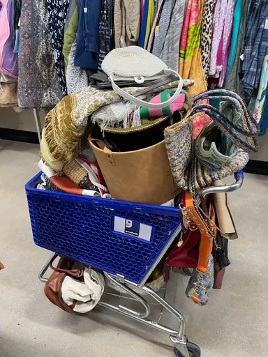 🛒More GW/Thrifting Goodies To Go Through🛒