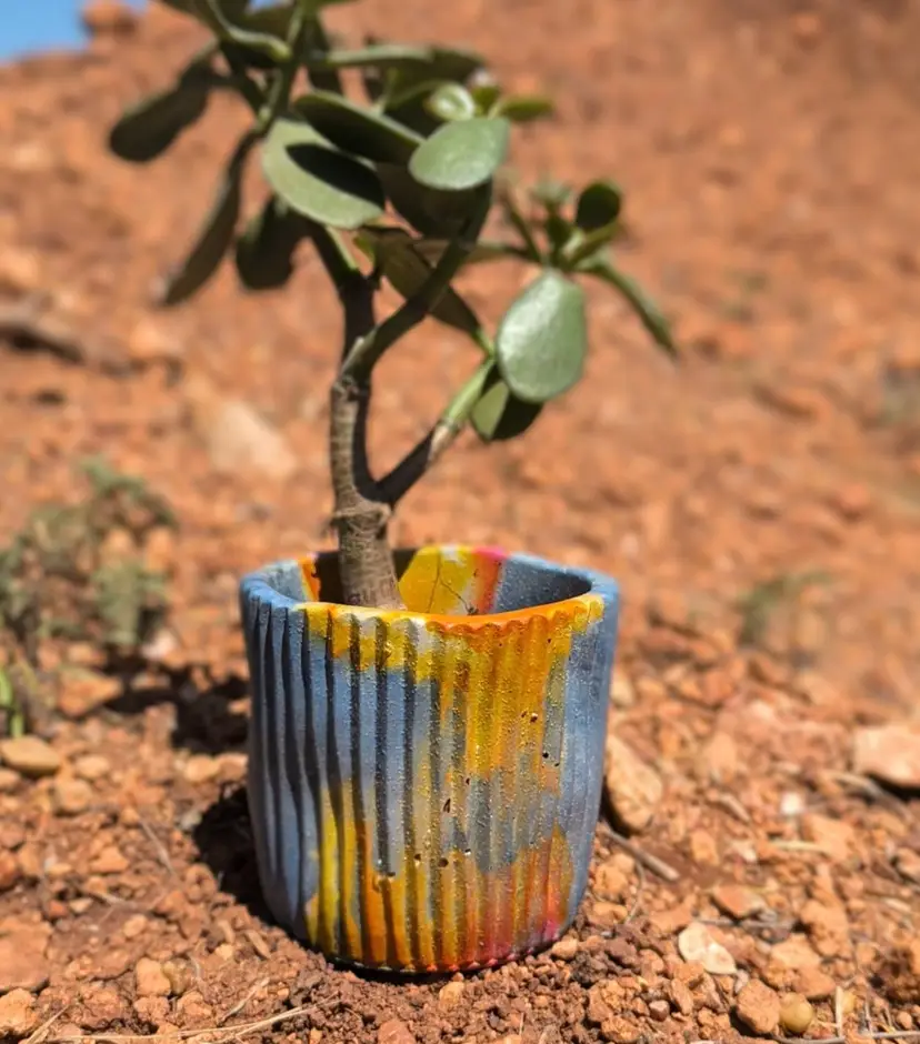 4" Sunset Sky Concrete Turtleneck Planter