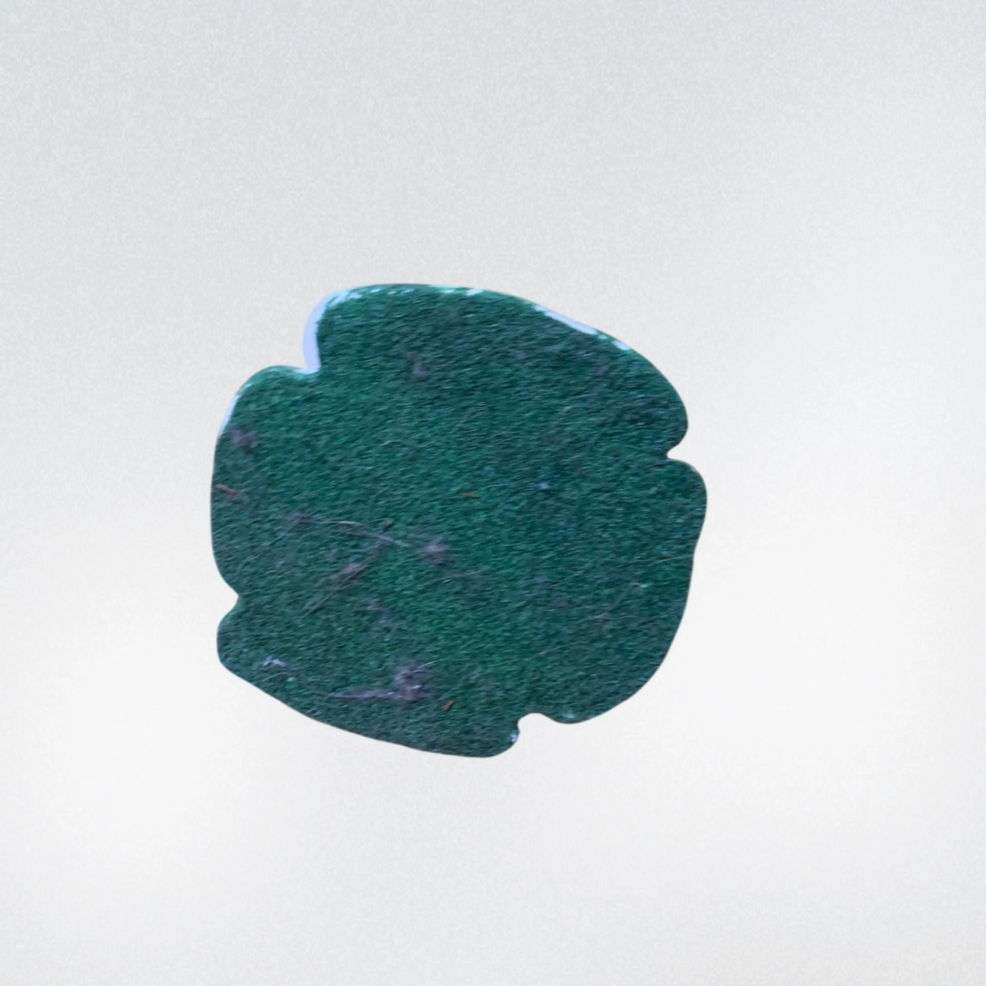 Image 4 of 6