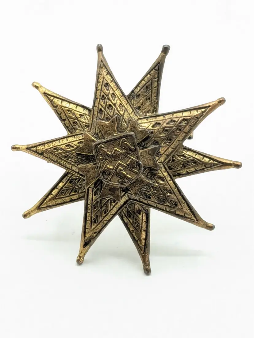Vintage Brass Tone 10 Point Star Crest Brooch Jewelry