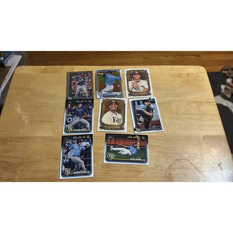 Tampa Bay Rays Lot