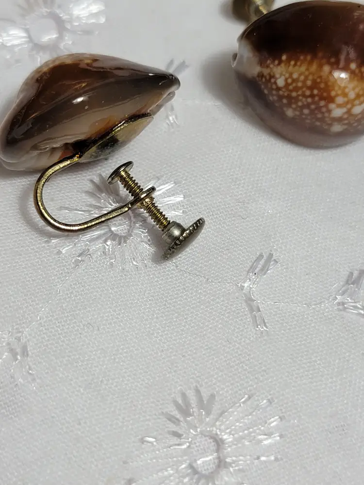 Vintage Cowrie shell set