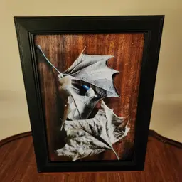 Photograph Of Acorn On Oak Leaves, 5x7, Frame Not Included