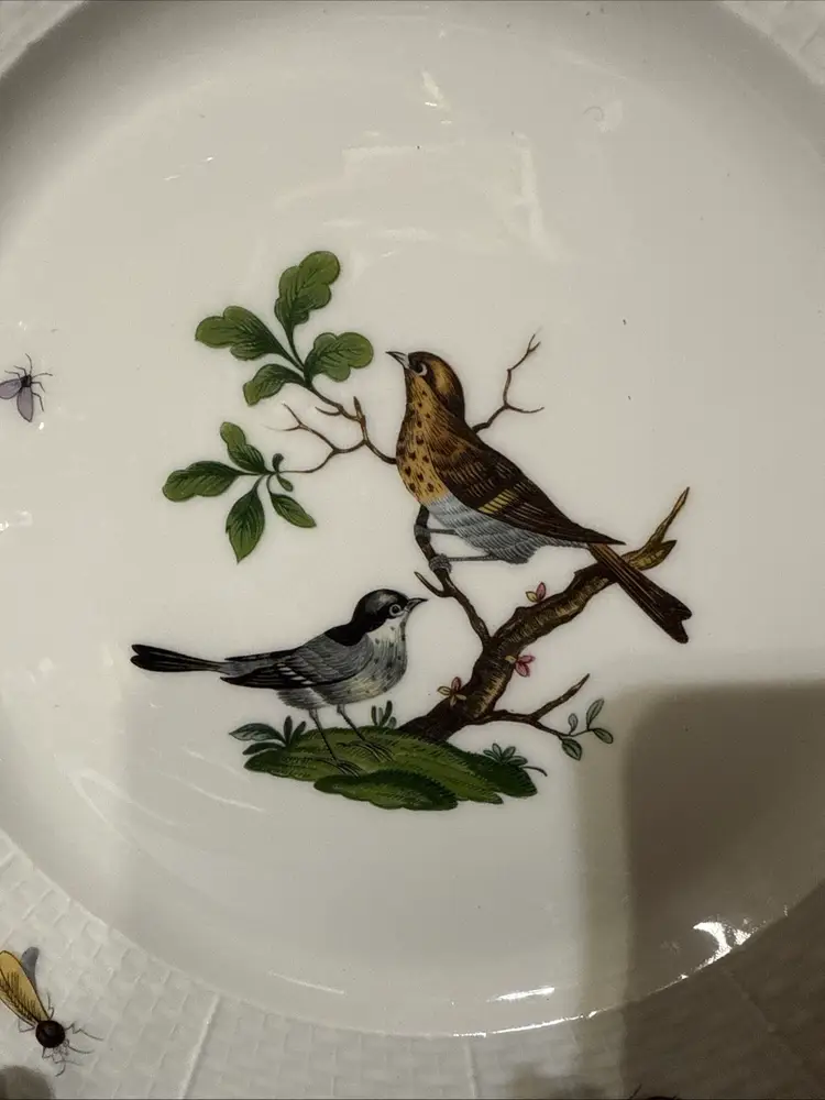 LIMOGES RAYNAUD CERALENE LES OISEAUX BIRD NO.3 DINNER PLATE 10.75" FRANCE