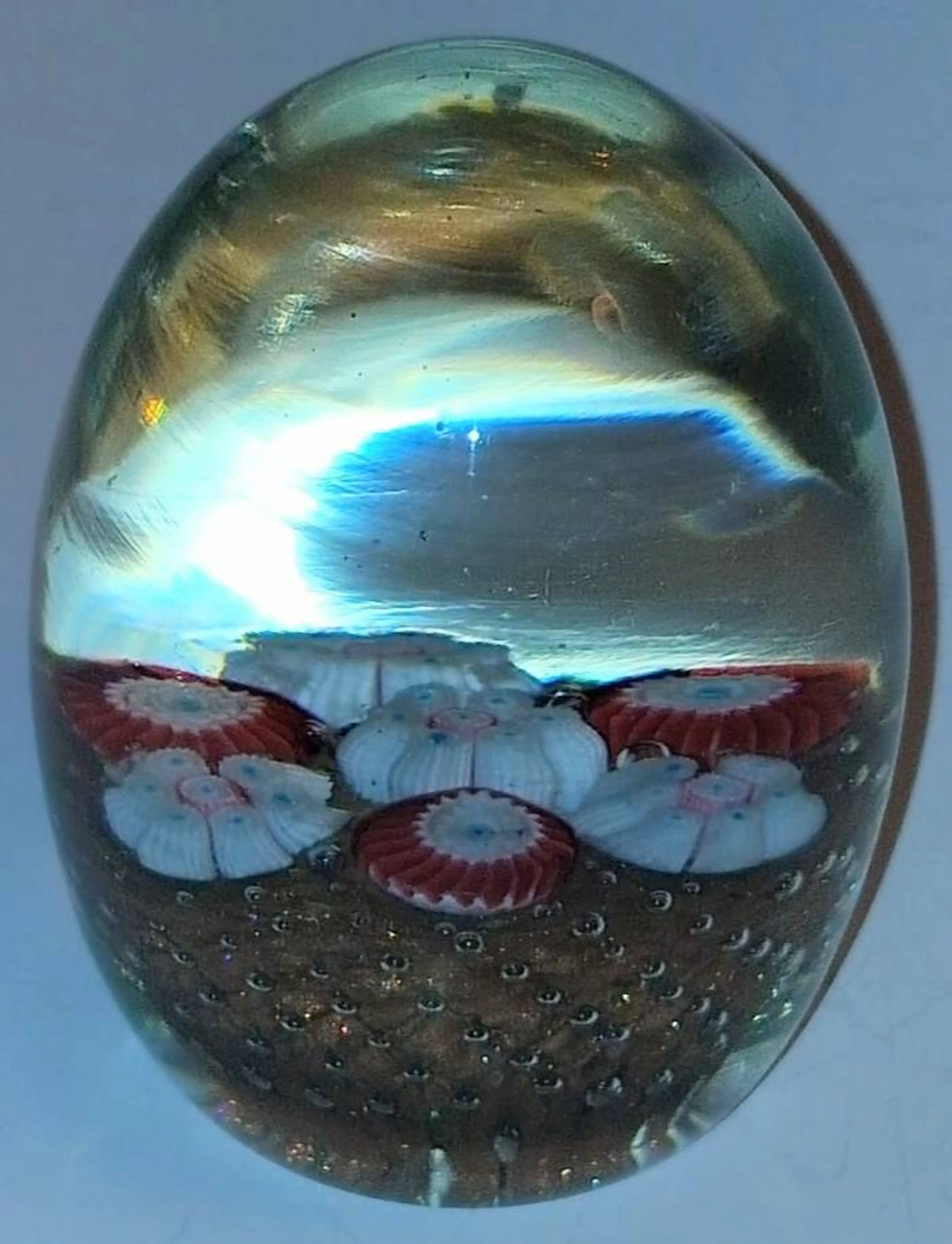 Image 5 of 7