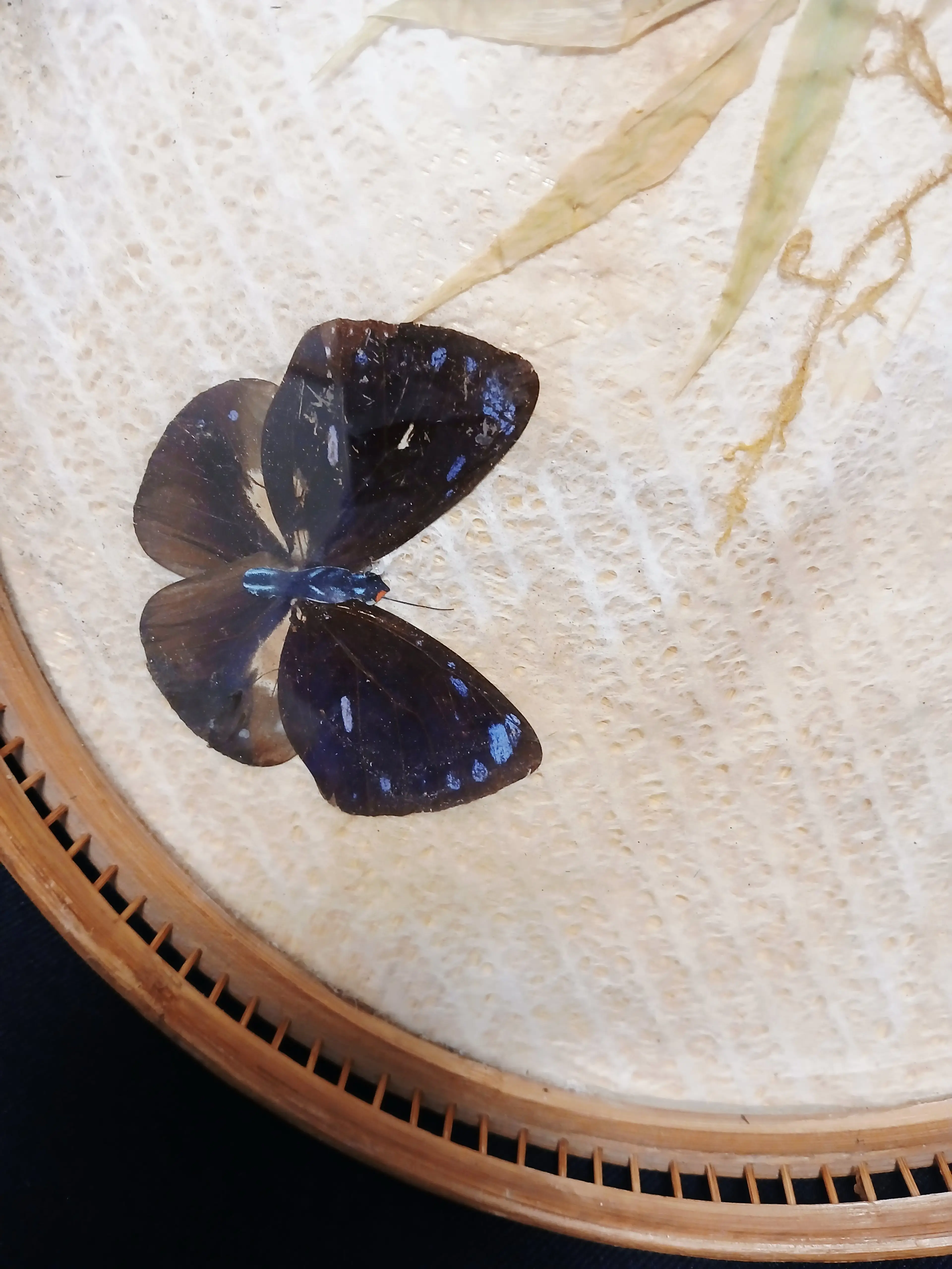 Image 4 of 7
