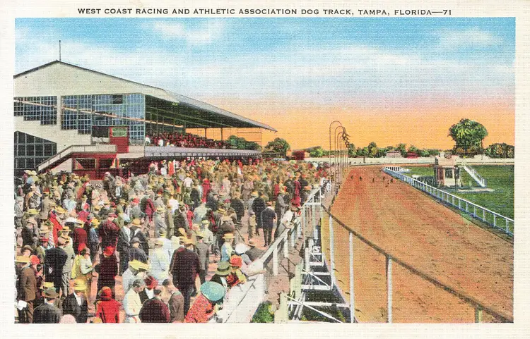 TAMPA FLORIDA~DOG TRACK-WEST COAST RACING ASSOC~1920s ANTIQUE VINTAGE POSTCARD
