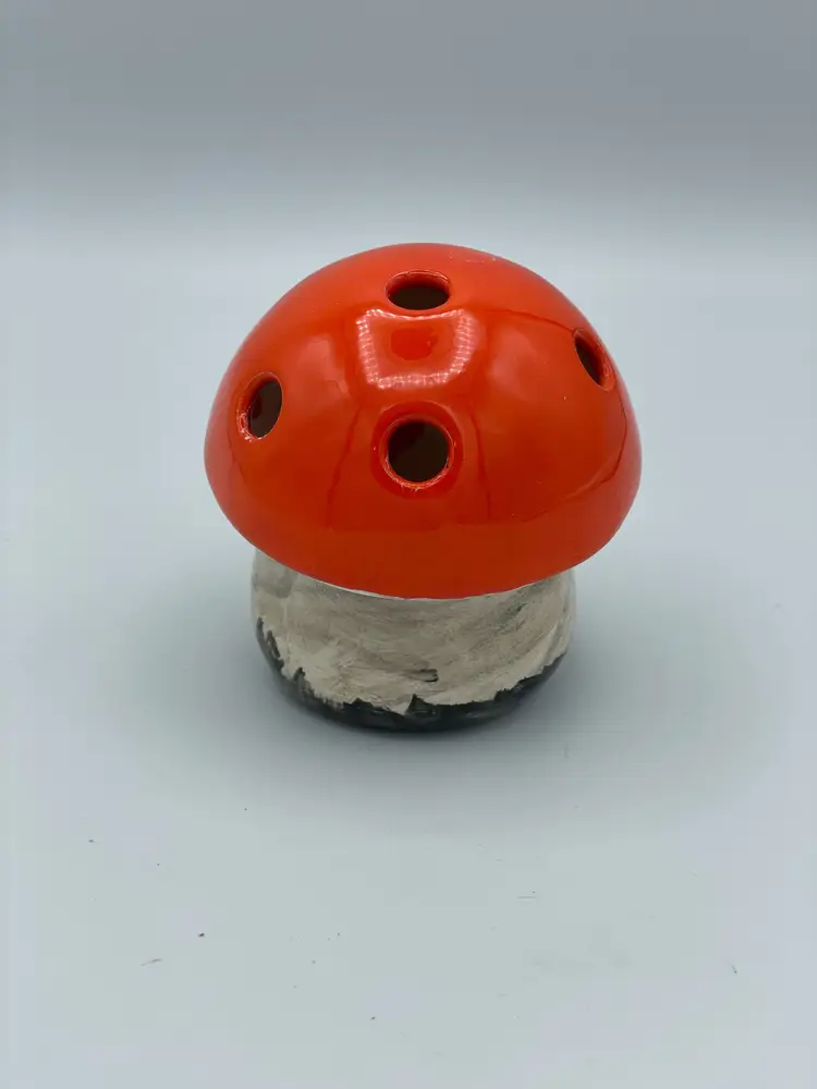 Mushroom Flower Frog