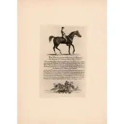 Portraits Of Celebrated Racehorses Lot of 6 Pages Cato and Spanking Roger