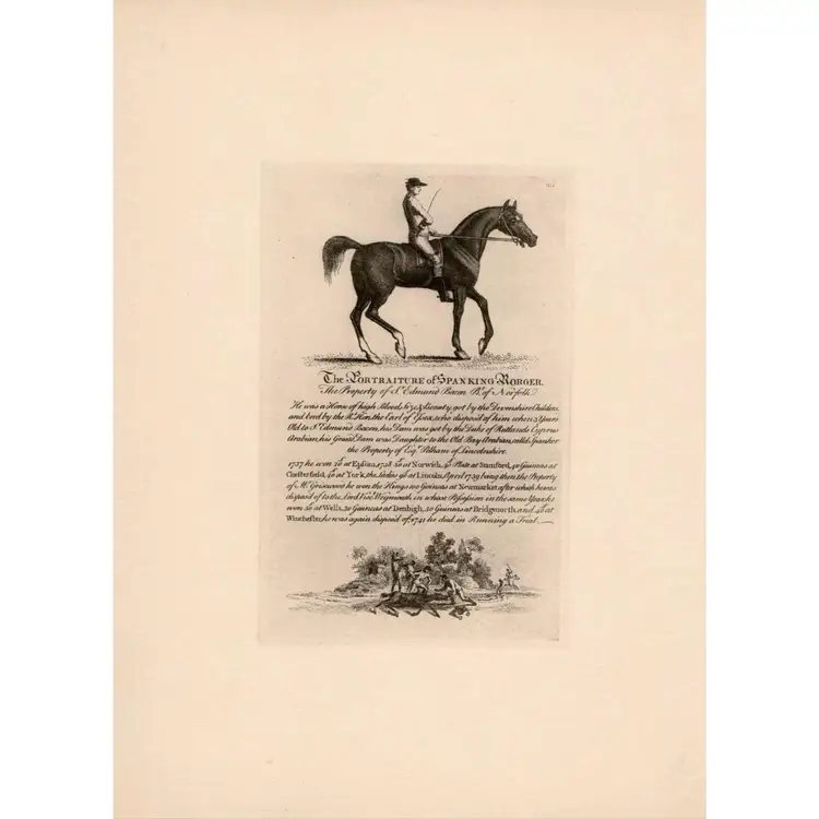 Portraits Of Celebrated Racehorses Lot of 6 Pages Cato and Spanking Roger