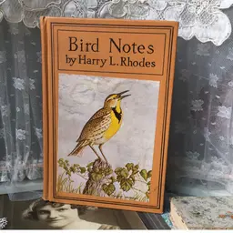 Vintage Book - Bird Notes by Harry L. Rhodes