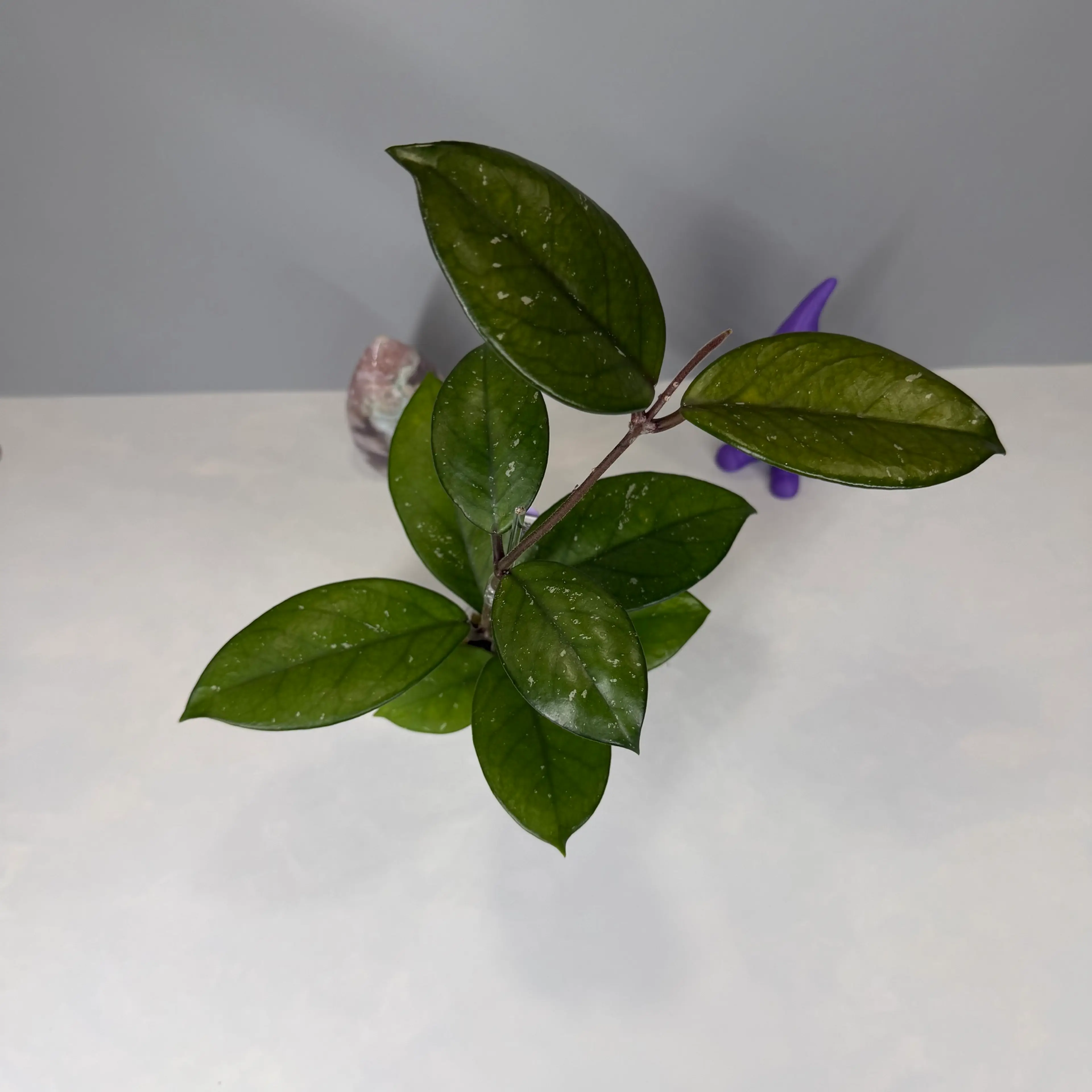Image 2 of 2