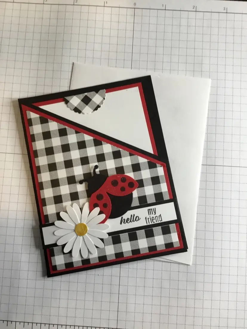 Hello my friend Ladybug Pocket card