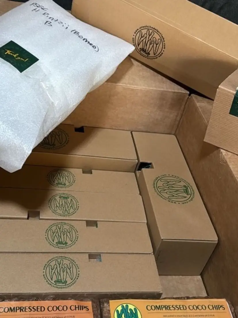 Livestream thumbnail