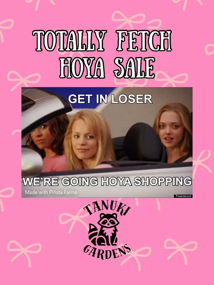 It’s October 3rd🩷👠💋Mean Girl’s Day Hoya Sale