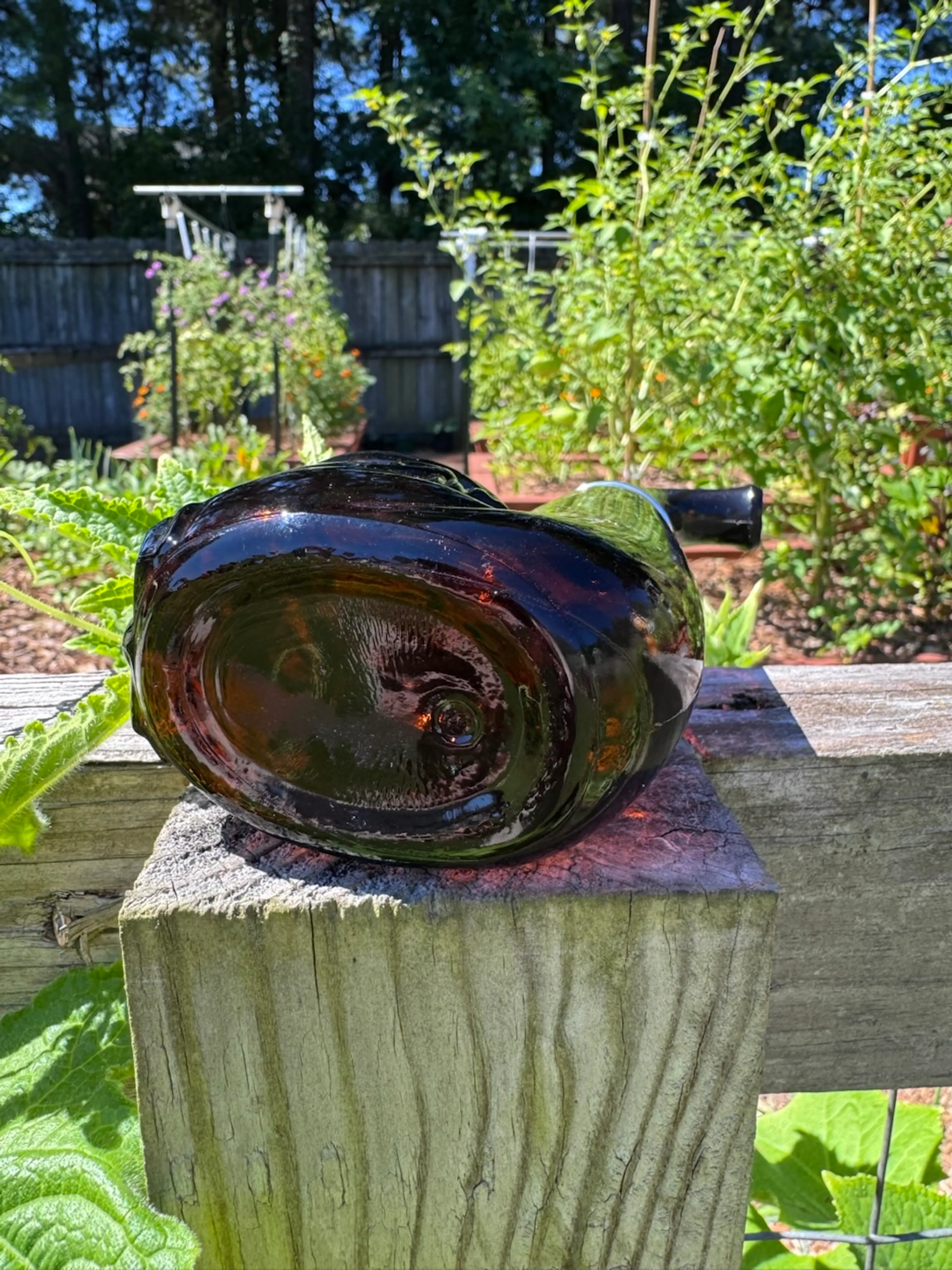 Image 5 of 6
