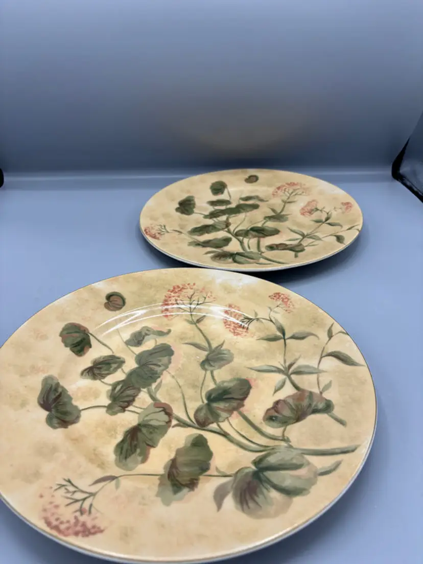 Stoneware dinner plate