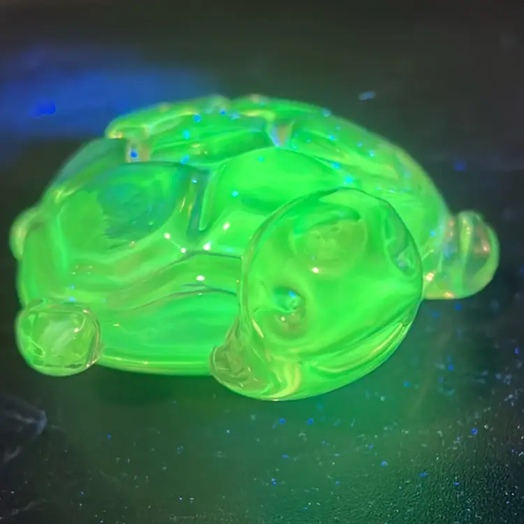 ONLY $10.00 FOR A GLOWING TURTLE