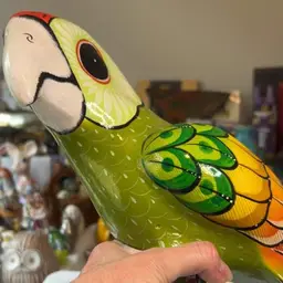 Parrot