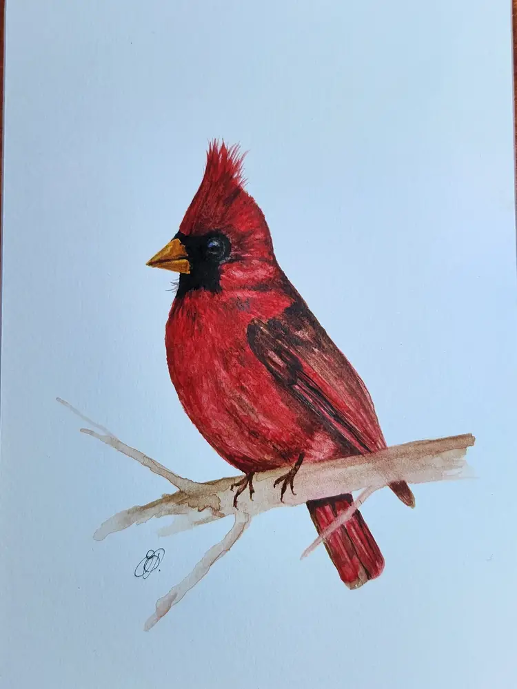 Ready To Leave The Nest! 🪹