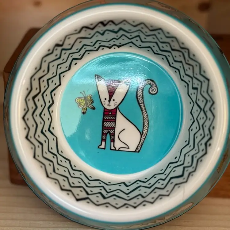 Colorful Cat Food Bowl