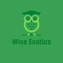 wiseexotics