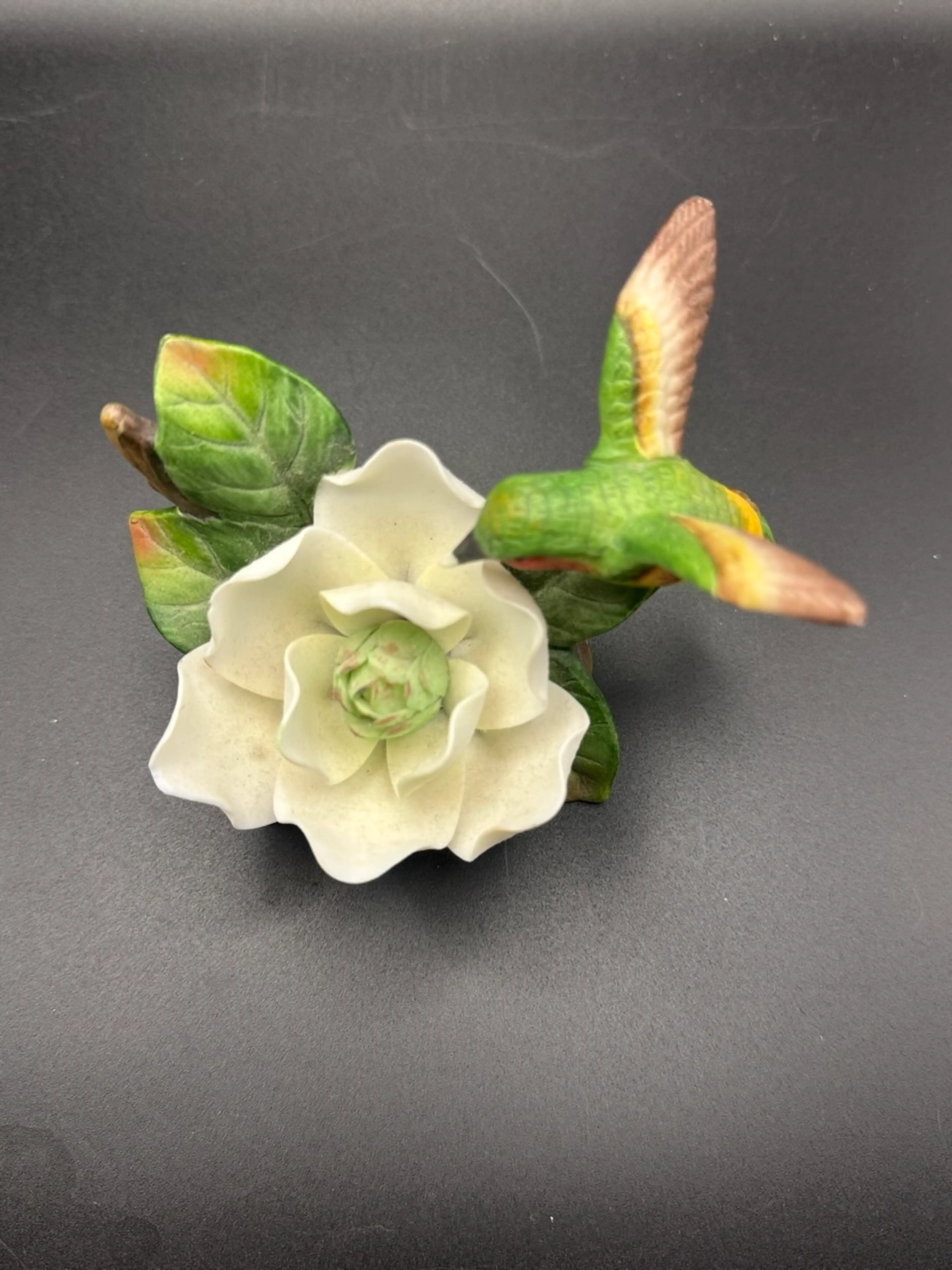 Image 5 of 7
