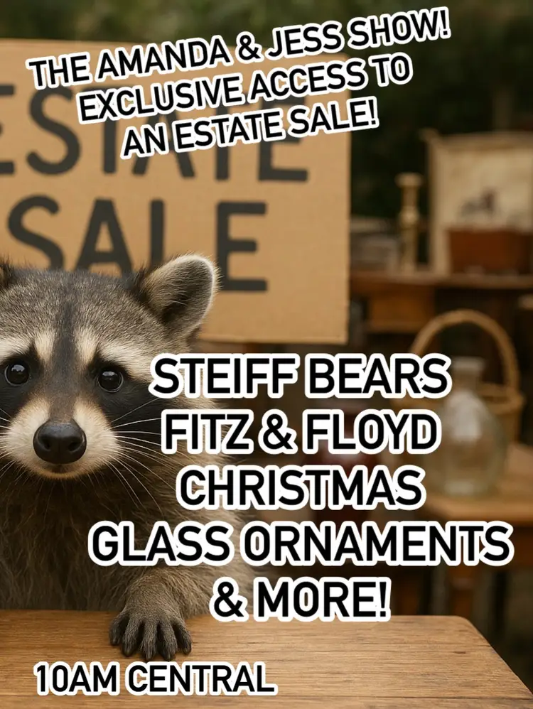 🚨🚨Special Access To An Estate Sale With Amanda & Jess!