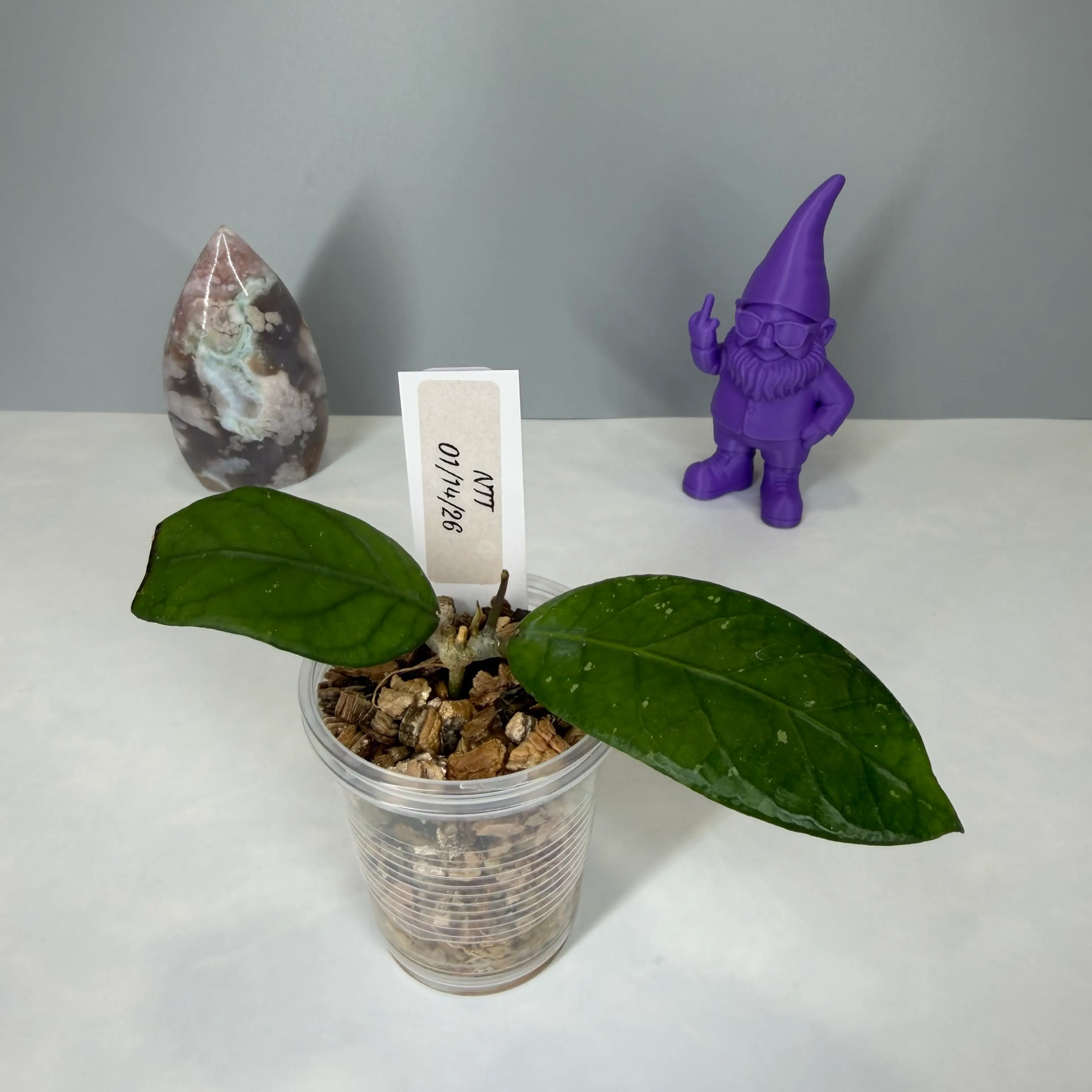 Image 1 of 3