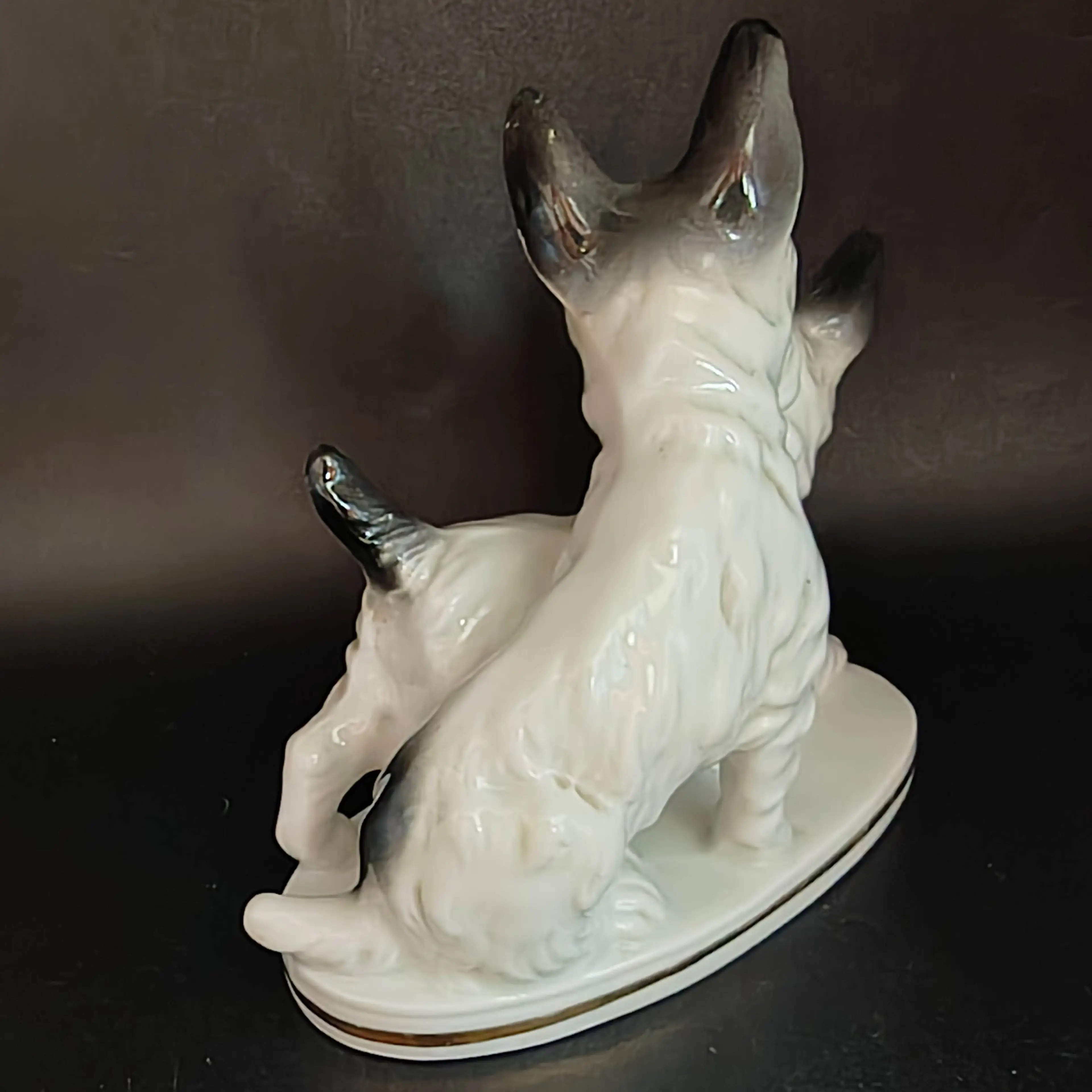 Image 4 of 15