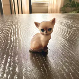 Cute Lonely Kitty