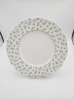 #B71 J&G Meakin England English Staffordshire Sterling Plate