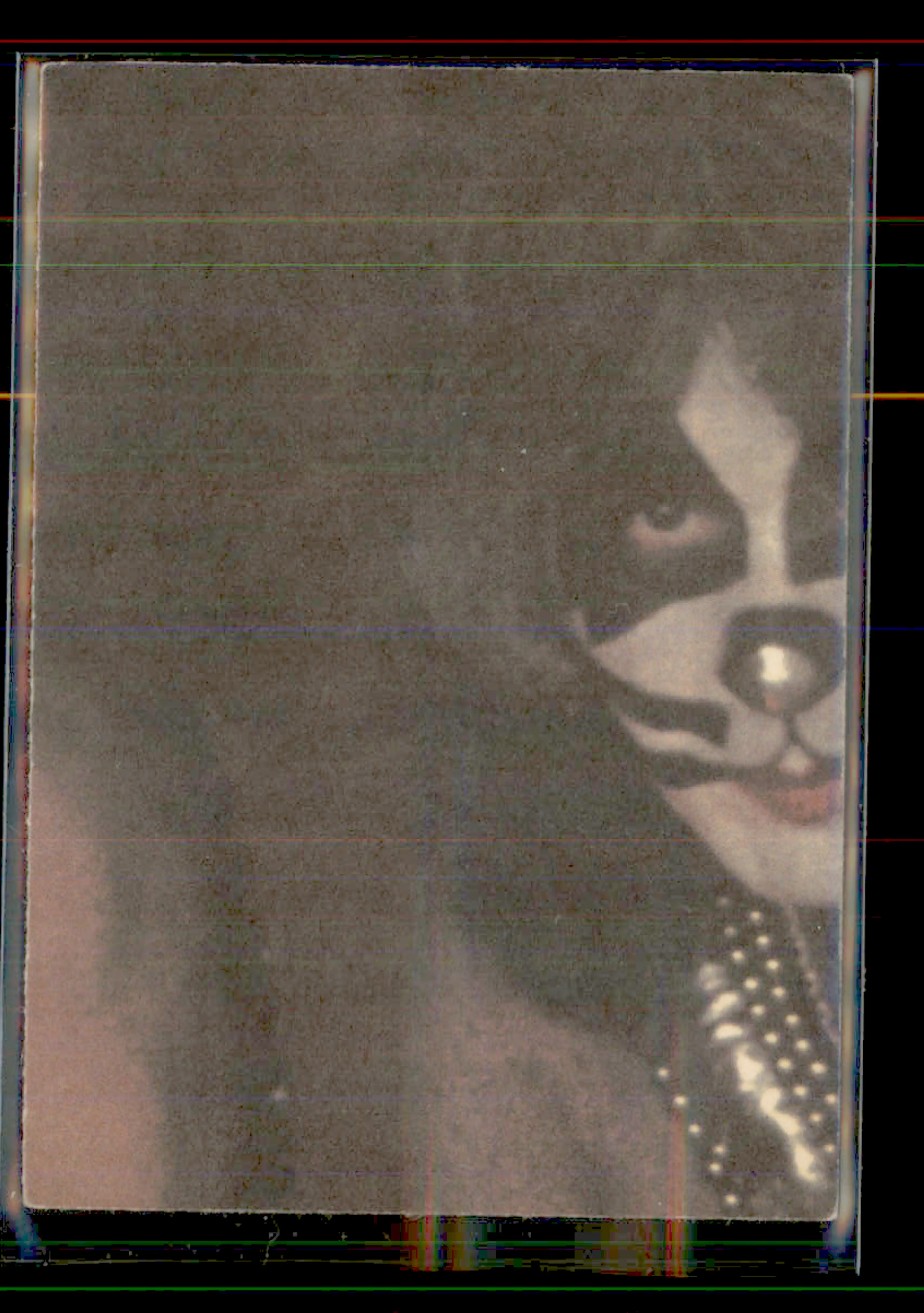 Image 2 of 4