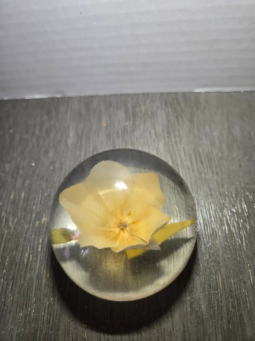 Lucie Botanical Paperweight