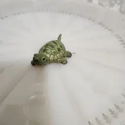mini turtle