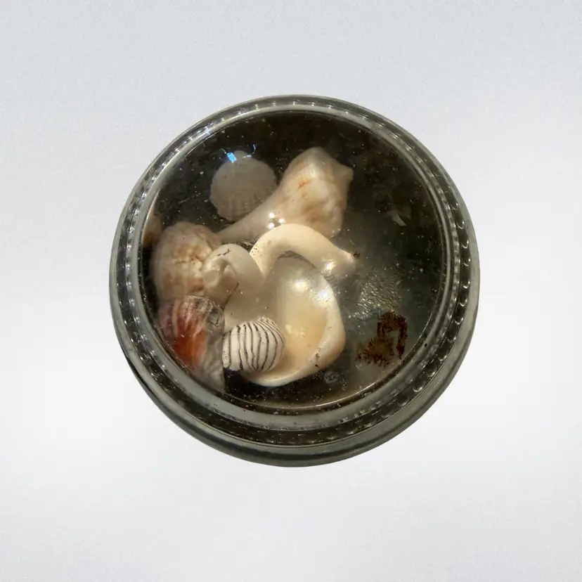 Seashell Glass Paperweight Handmade Nautical Marine Vtg Retro