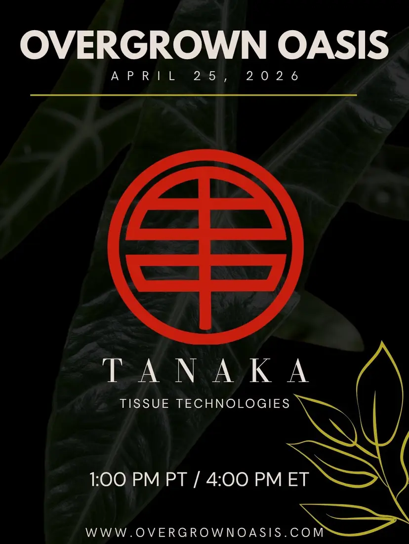 Livestream thumbnail