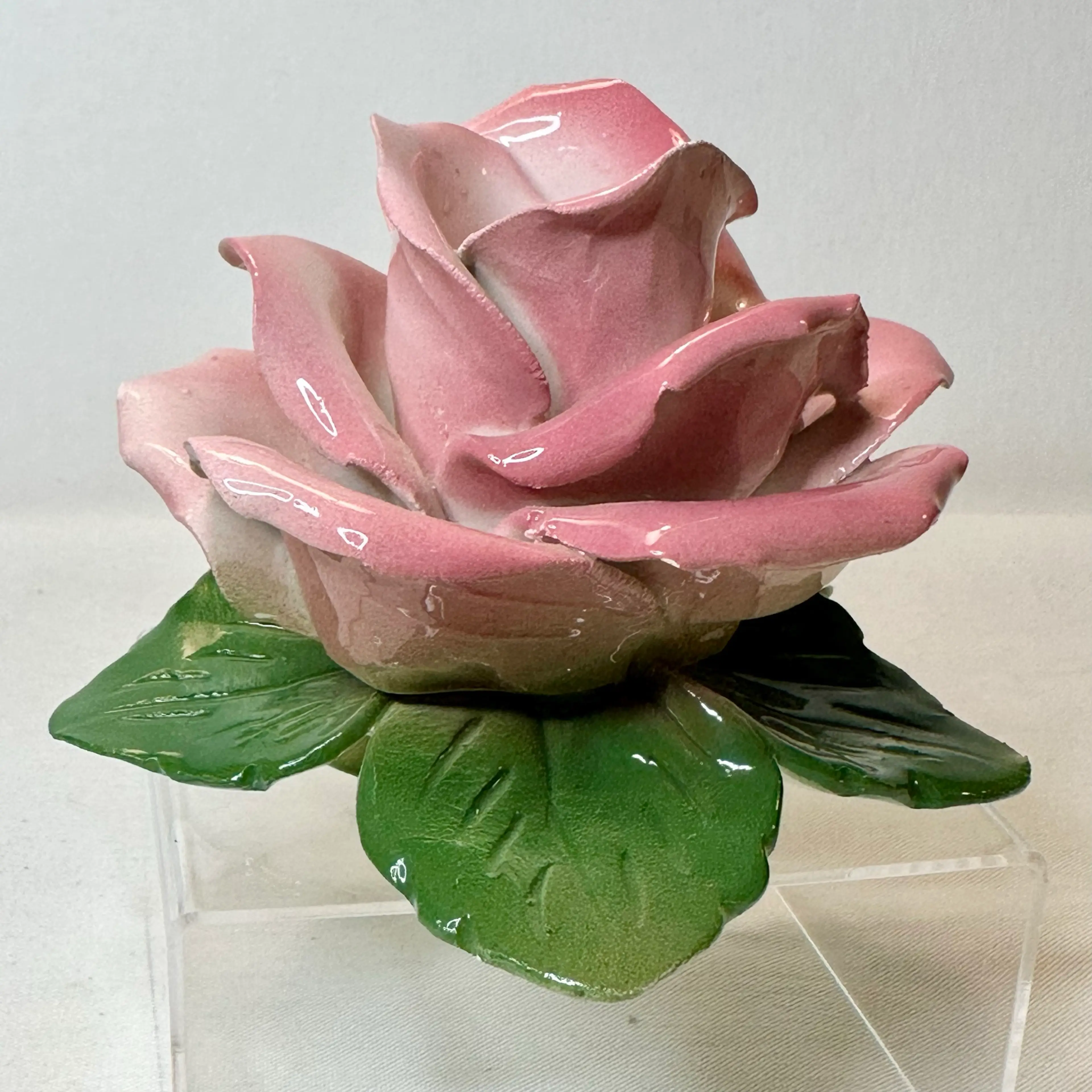 Image 2 of 12