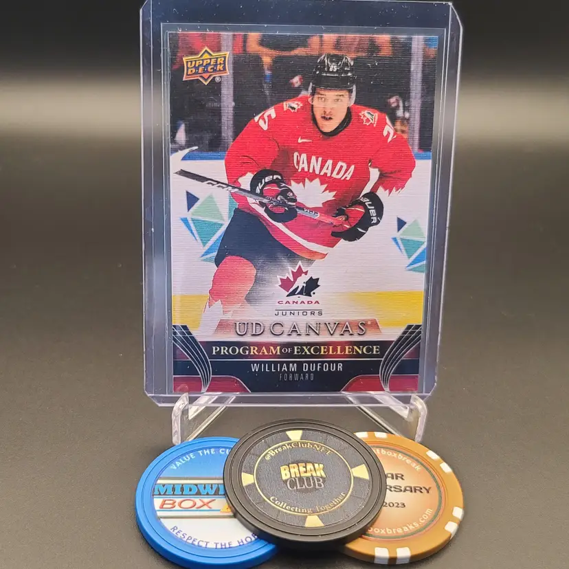 2023-24 Upper Deck Series 2 William Dufour UD Canvas Program Of Excellence Team Canada Insert - Card Number C264 - New York Islanders Hockey Card