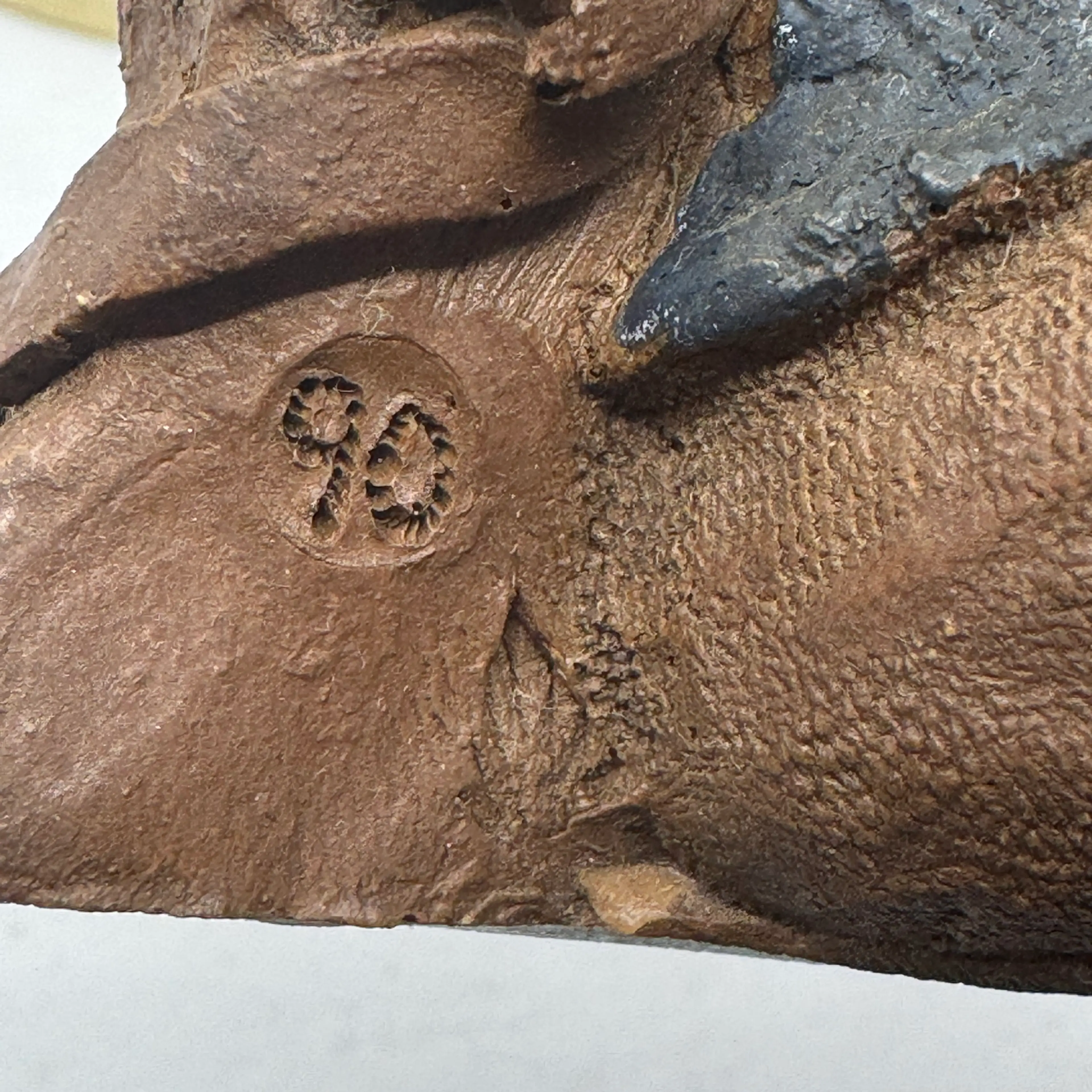 Image 3 of 5