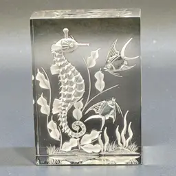 Vintage Reverse Carved Seahorse Fish Seaweed Ocean Reef Acrylic Paperweight Gift