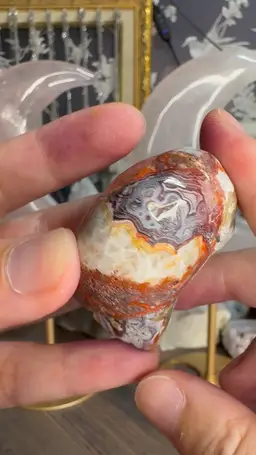 #3103Mexican Crazy Lace Agate Mushroom