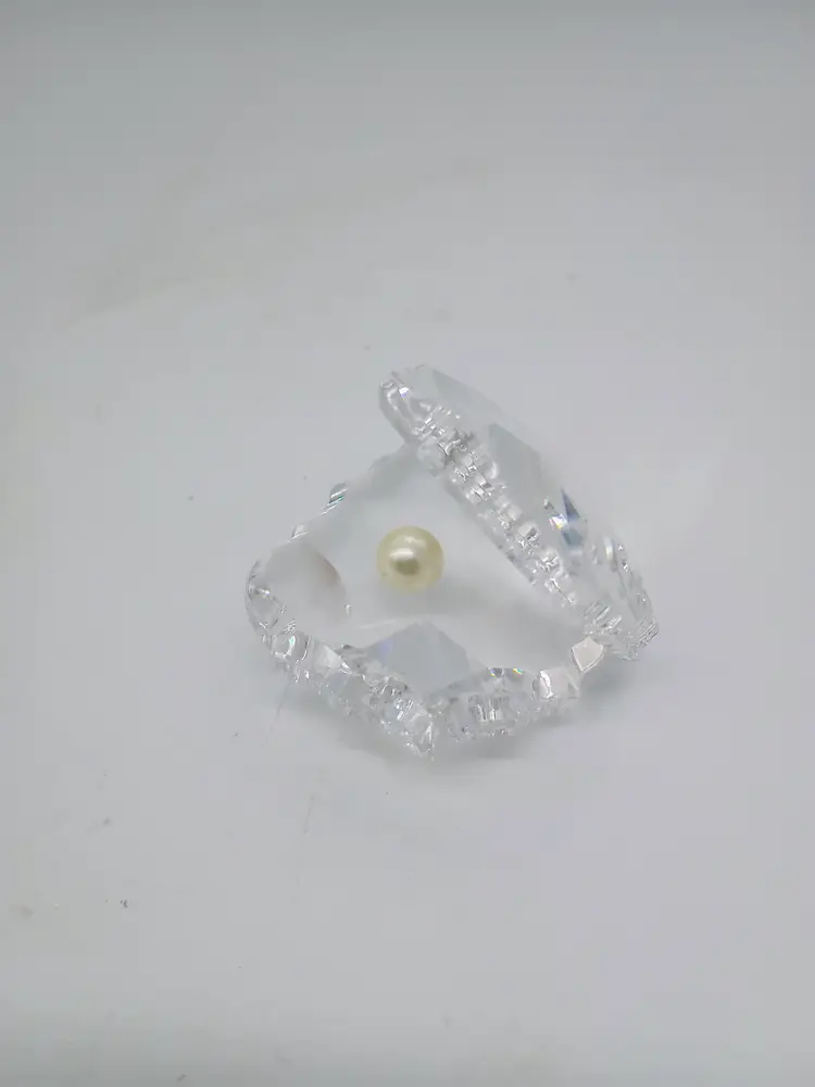 Crystal Celine Classic Crystal Keepsake Oyster/ Clam Shell with 5MM Simulated Pearl